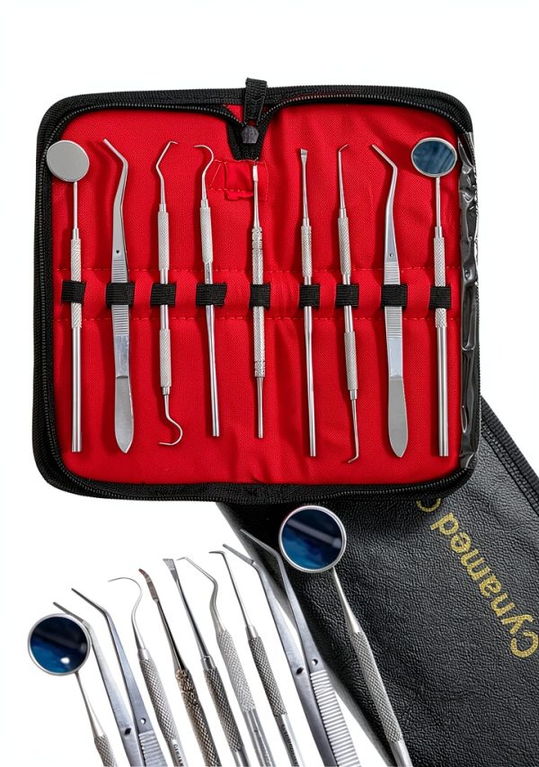 Dental Instrument Set WSI 9‑Piece German Stainless Steel Kit-0