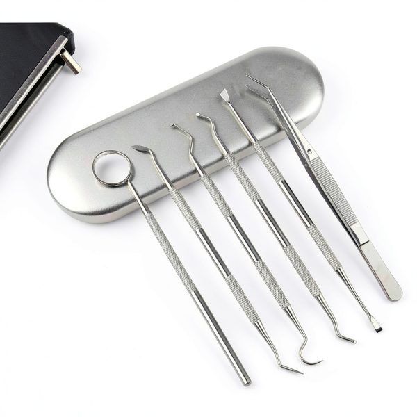 Dental Instrument Set DT6 by DentalPro Compact Portable Kit-3
