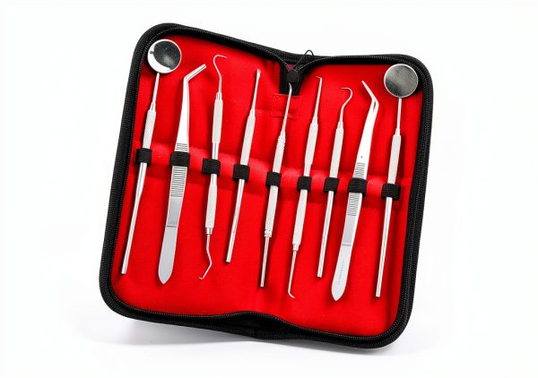German Dental Scaler Pick Set 9PCS by CYNAMED Dental Instrument Kit-1