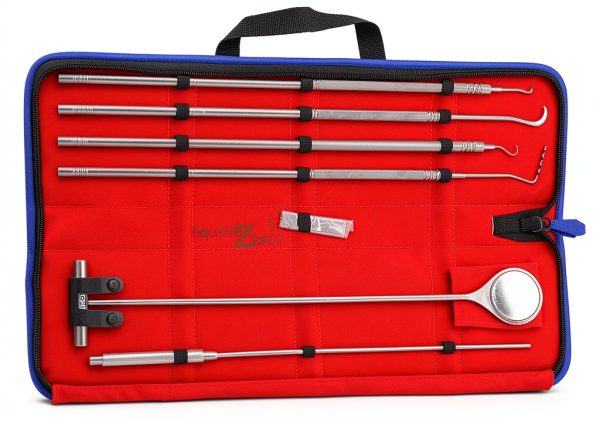 Equine Periodontal Instruments 6-Piece Stainless Steel Set Equinez-0