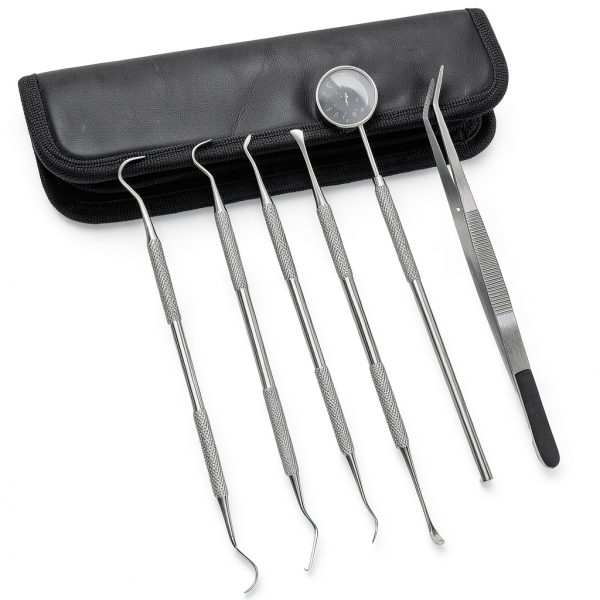 Dental Tools Kit Professional Set by SurgicalOnline 6 Piece with Pouch-0
