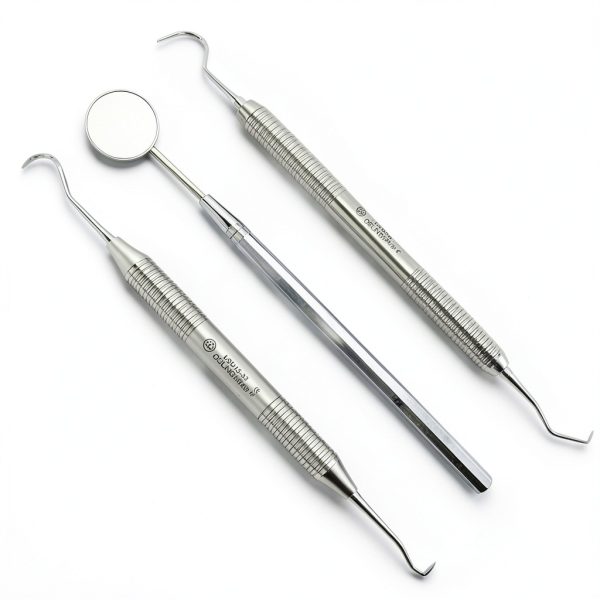 Dental Tartar Scraper and Remover Set SS by Osung Stainless Steel-0
