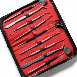 German Hygiene Kit - Calculus & Plaque Remover, Tools by WSI-0