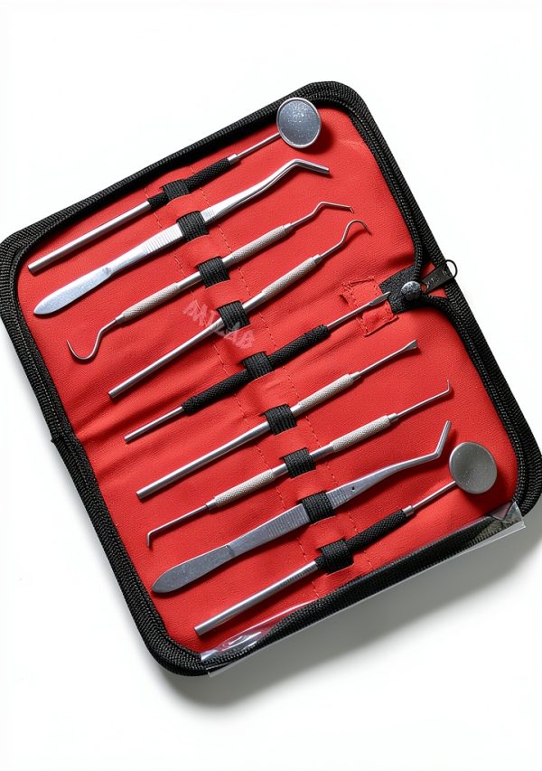 German Hygiene Kit - Calculus & Plaque Remover, Tools by WSI-0
