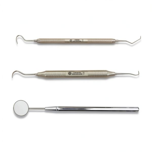 Dental Tartar Scraper and Remover Set SS by Osung Stainless Steel-1