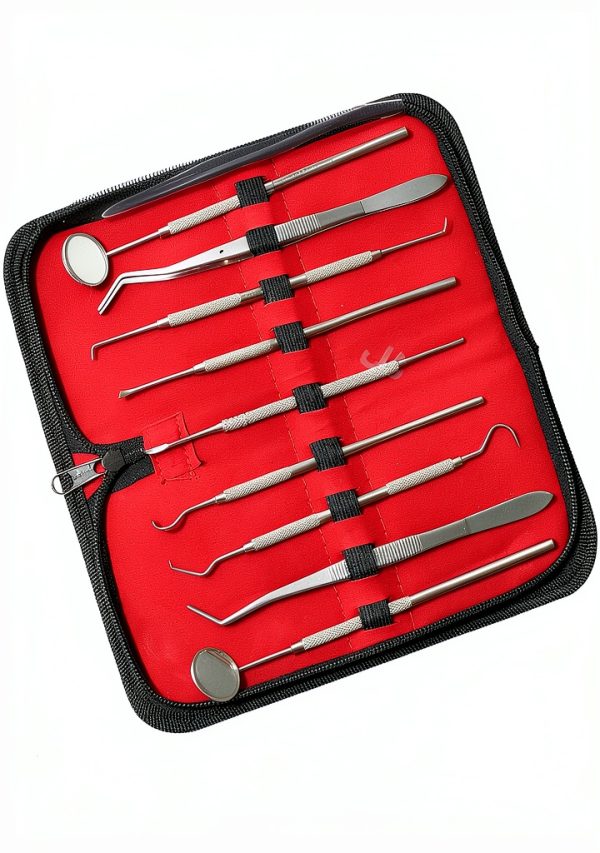 German Hygiene Kit - Calculus & Plaque Remover, Tools by WSI-2